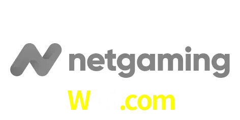 NetGaming